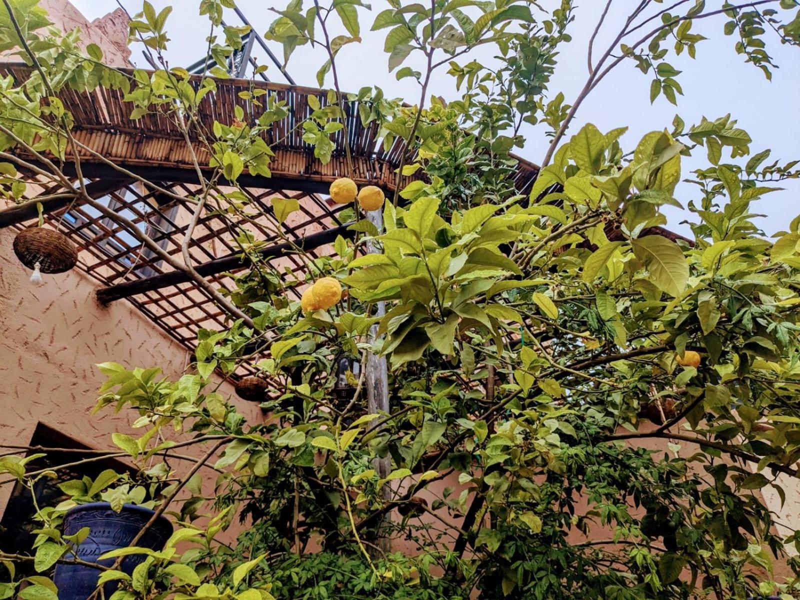 Dar Soulaimane Hotel Asguine Exterior foto