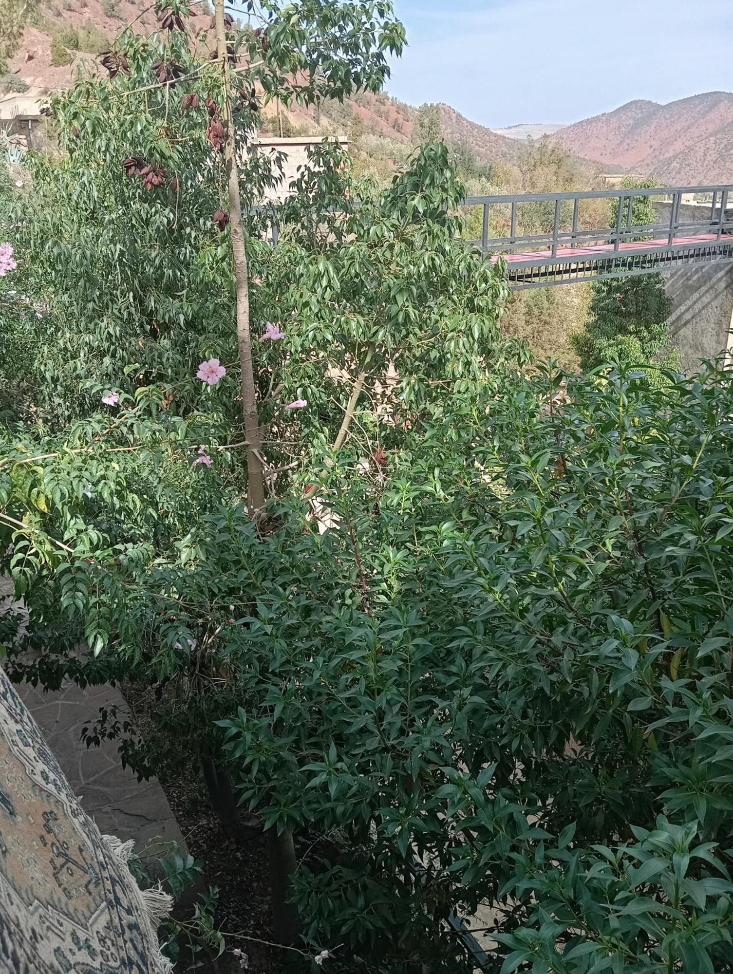 Dar Soulaimane Hotel Asguine Exterior foto