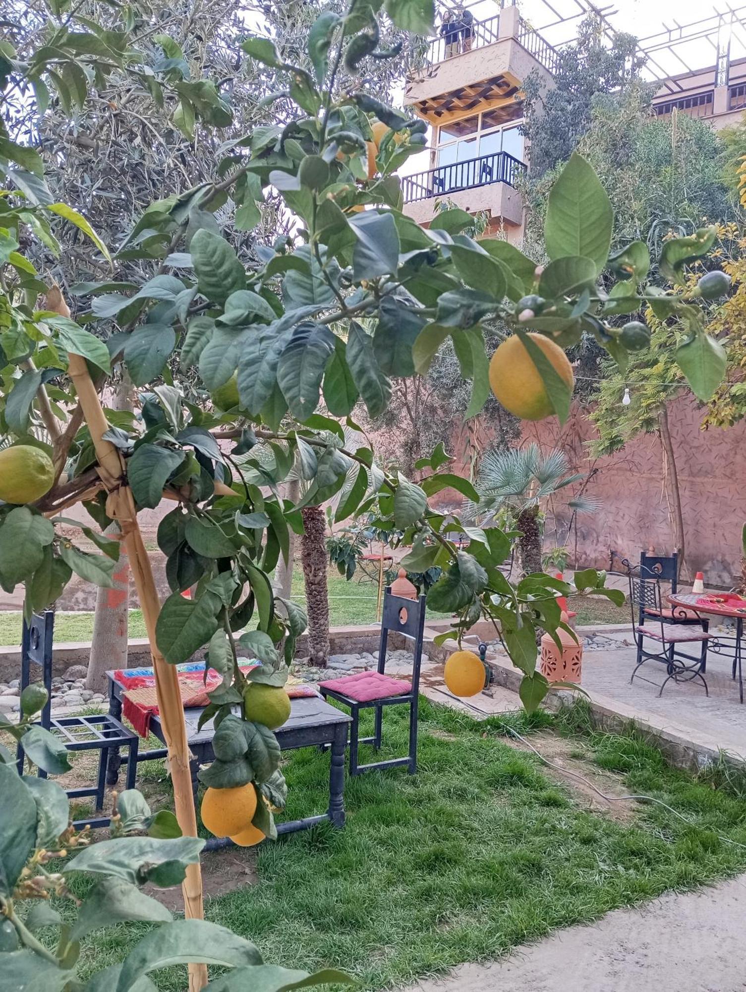 Dar Soulaimane Hotel Asguine Exterior foto